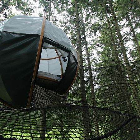 Insolite Dans Les Arbres Les Ormes, Epiniac Exterior foto