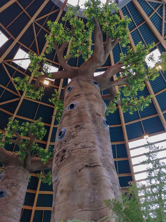 Insolite Dans Les Arbres Les Ormes, Epiniac Exterior foto